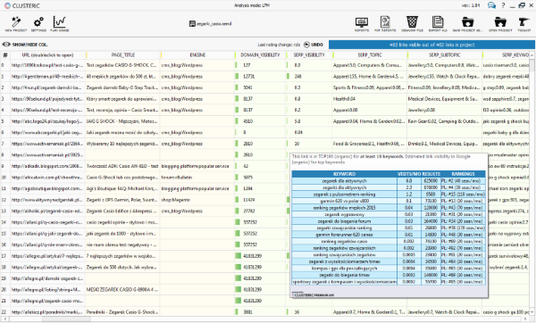 Narzędzie do analiz SEO Clusteric Auditor